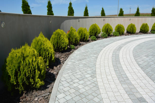 Best Driveway Pavers Near Me  in Dillsboro, IN